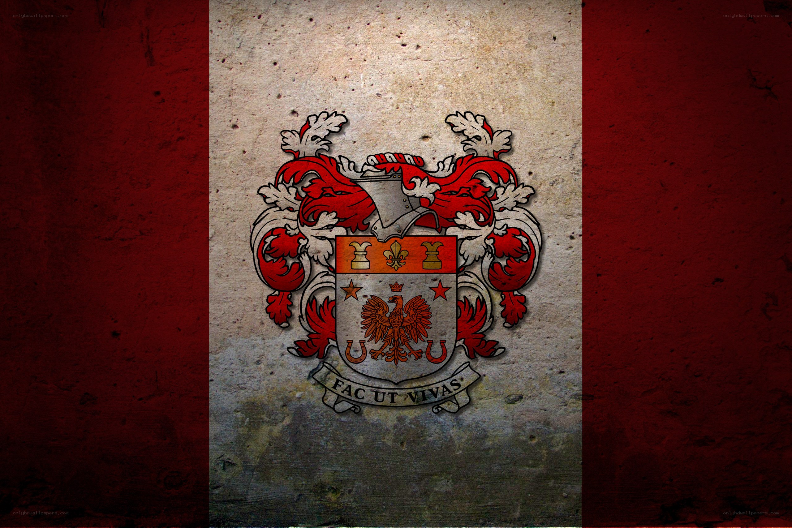 coat of arms on flag background