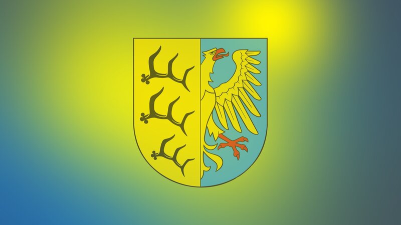 Coat of Arms Shield — Yellow
