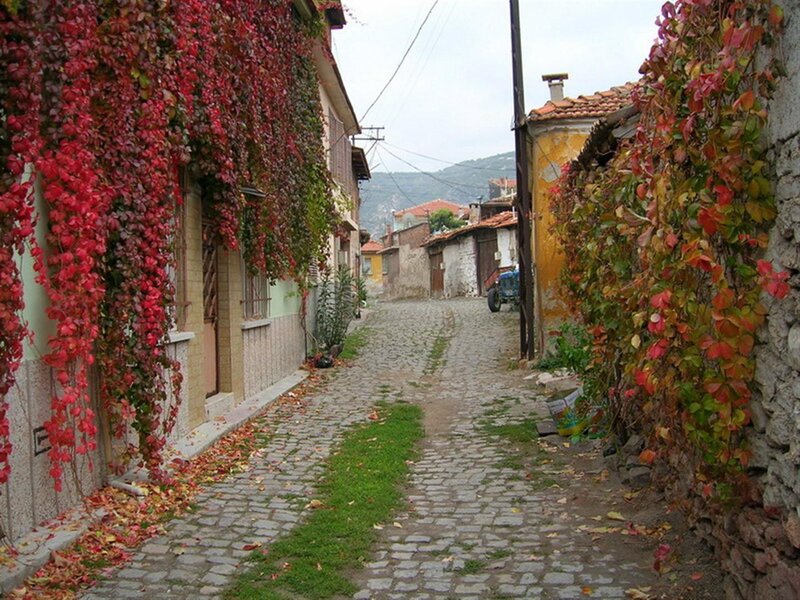 Cobblestone alley with autumn leaves