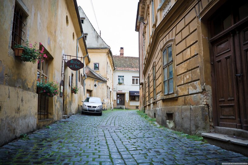 Cobblestone alley with bistro sign