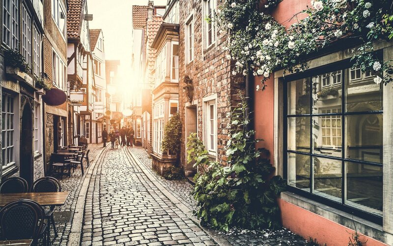 Cobblestone Alley with Buildings — Brown