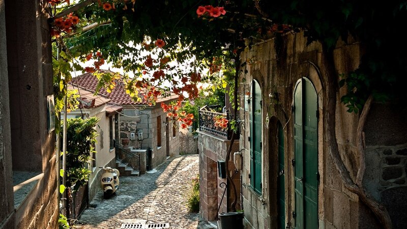 cobblestone alley with flowers