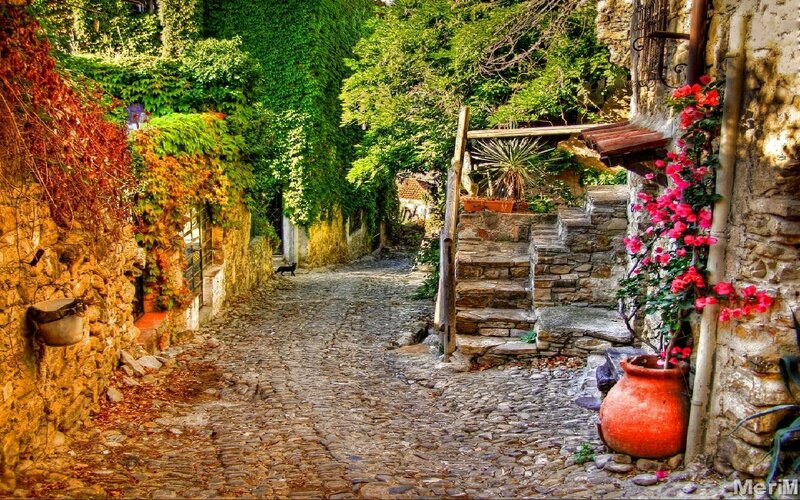 cobblestone alley with flowers