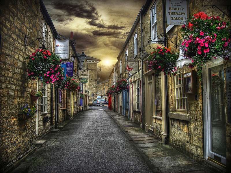 Cobblestone Alley with Flowers — Brown, Dramatic