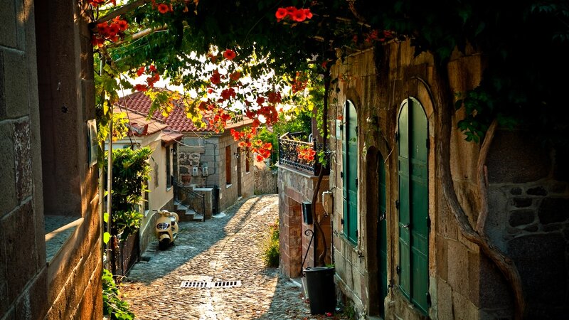 Cobblestone Alley with Flowers — Brown, Serene