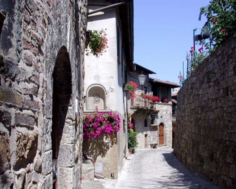 Cobblestone Alley with Flowers — Gray, Serene