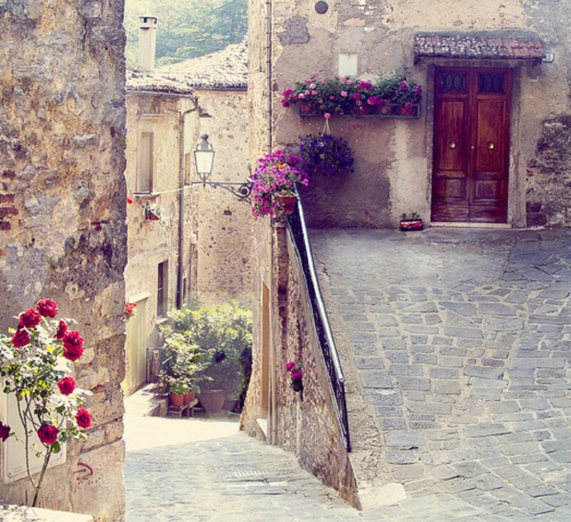 Cobblestone Alley with Flowers — Gray