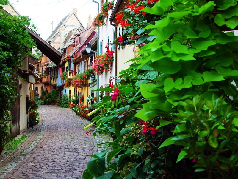 Cobblestone Alley with Flowers — Green, Serene, Afternoon, Photograph, Buildings