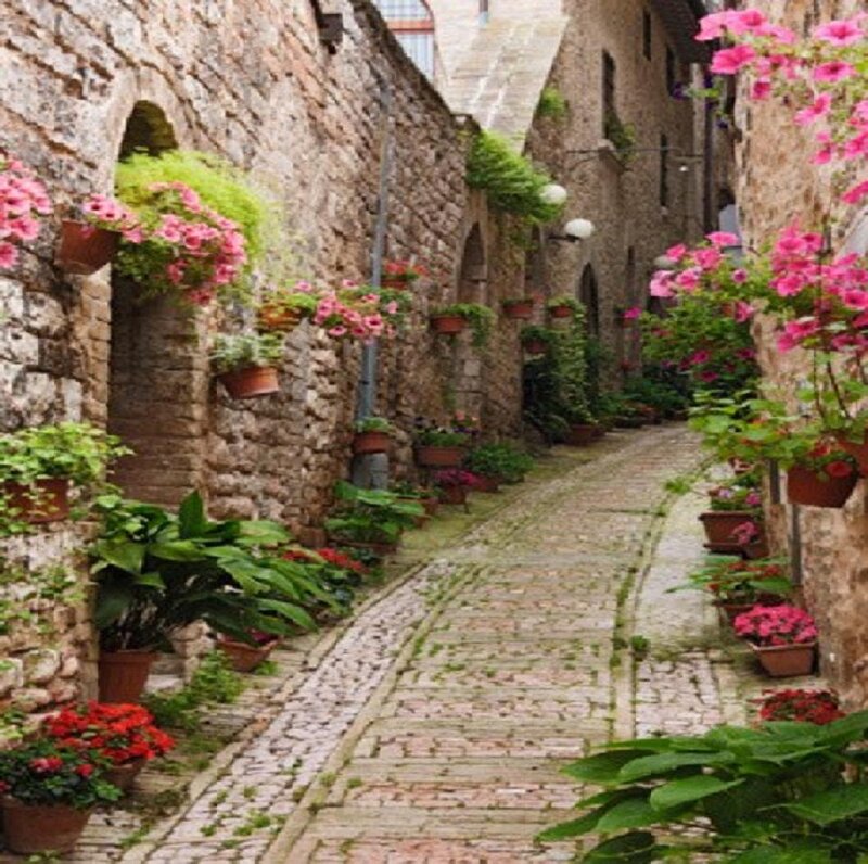 Cobblestone Alley with Flowers — Green, Serene