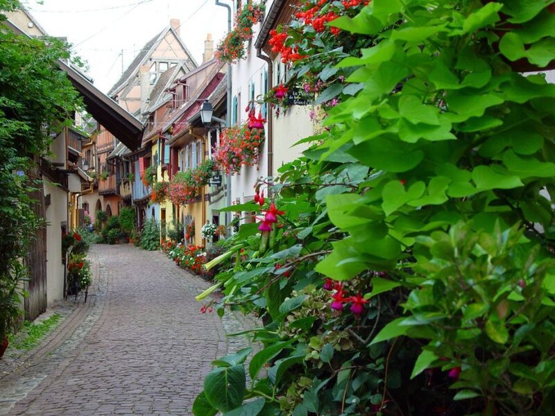 Cobblestone Alley with Flowers — Green