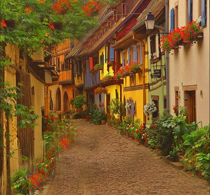 Cobblestone Alley with Flowers — Yellow
