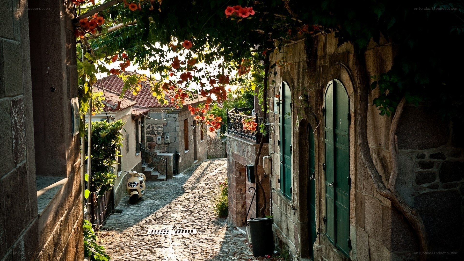 Cobblestone alley with flowers