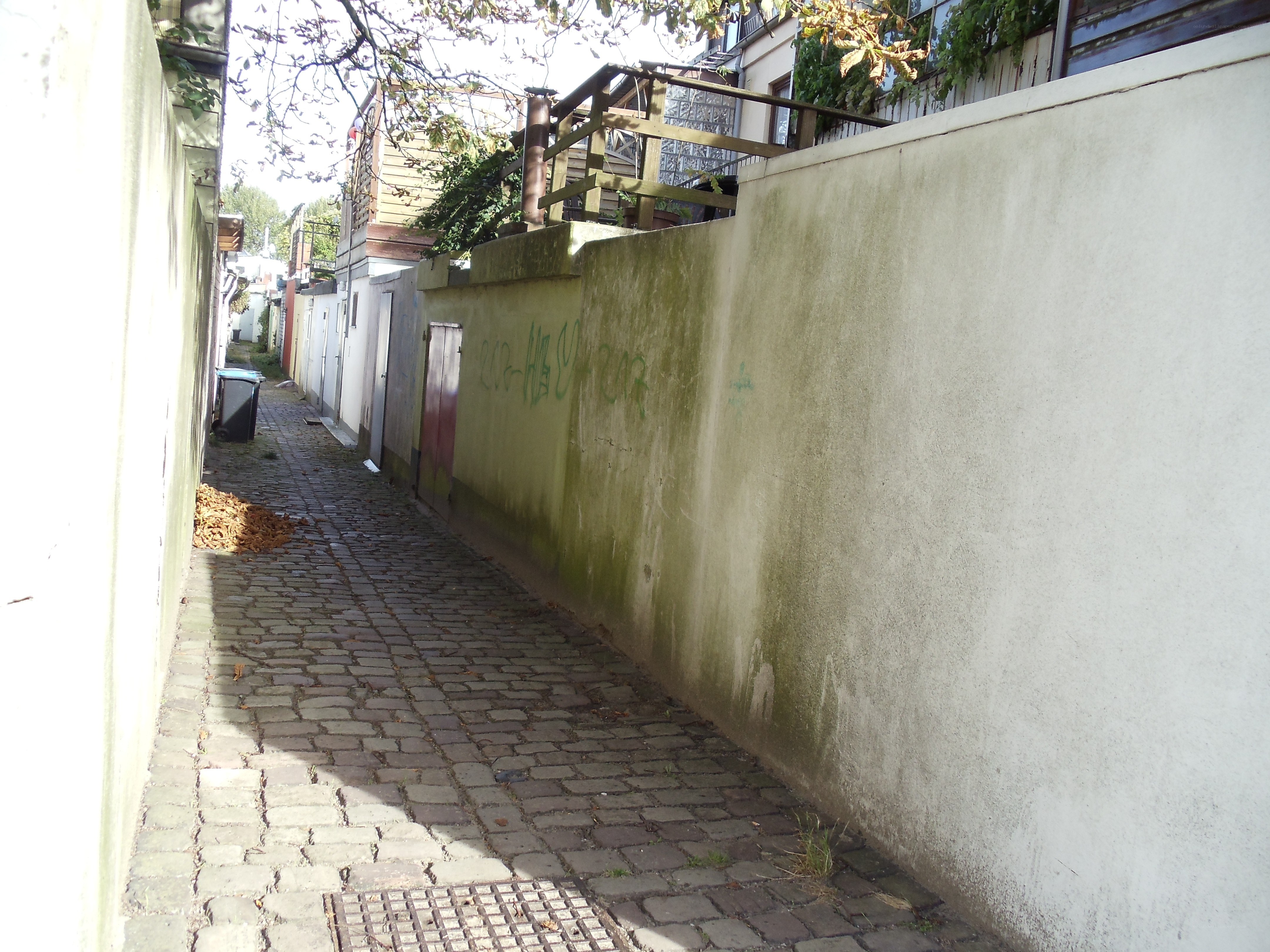 Cobblestone alley with graffiti