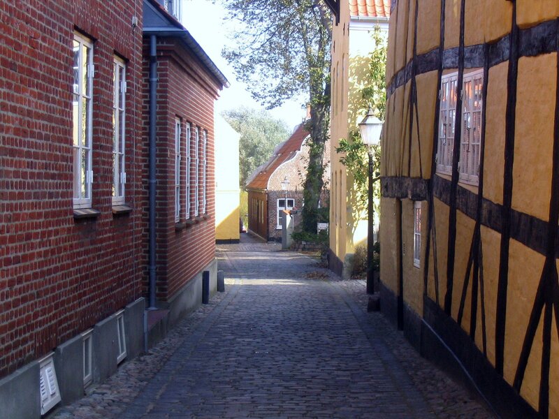 Cobblestone alley with historic buildings
