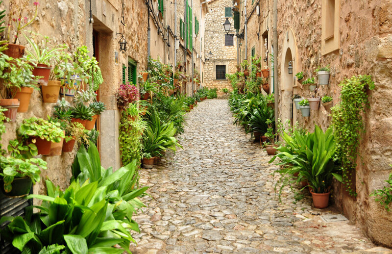 Cobblestone Alley with Plants — Green
