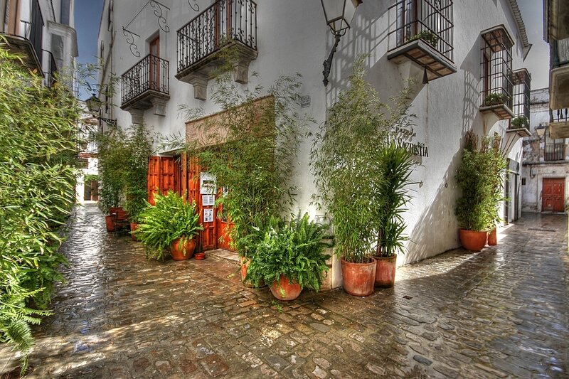 Cobblestone Alley with Plants