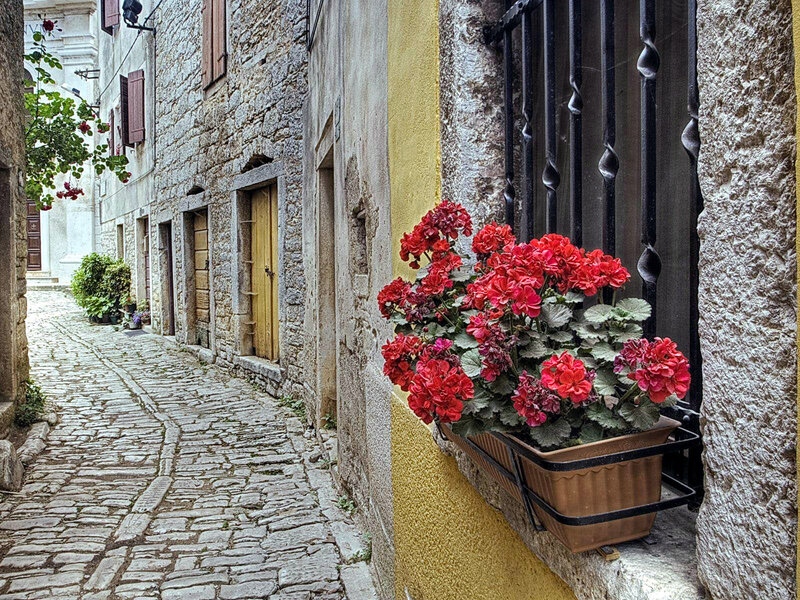 Cobblestone alley with red flowers
