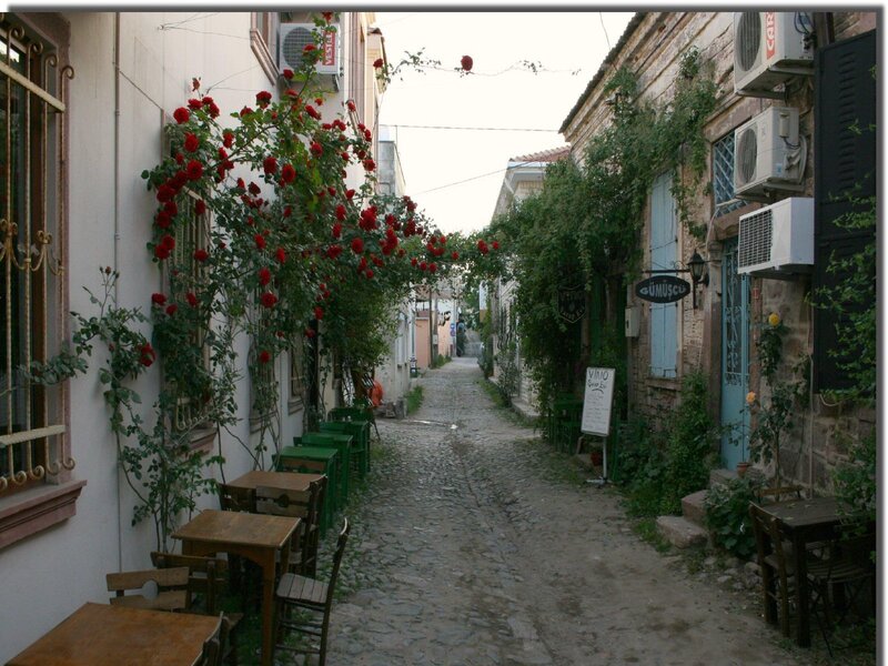 Cobblestone alley with rose vines