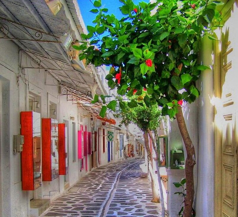 Cobblestone Alley with Trees