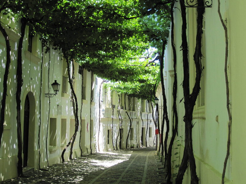 Cobblestone Alley with Vines