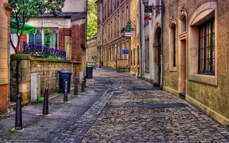 Cobblestone Alleyway — Brown, Quiet, Afternoon, Photograph