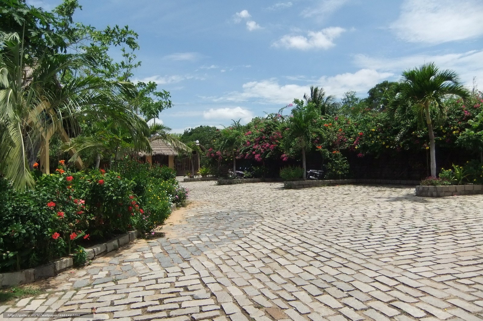 cobblestone courtyard with tropical plants