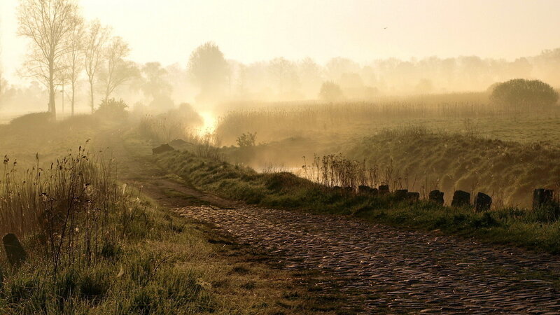 Cobblestone Path in Fog