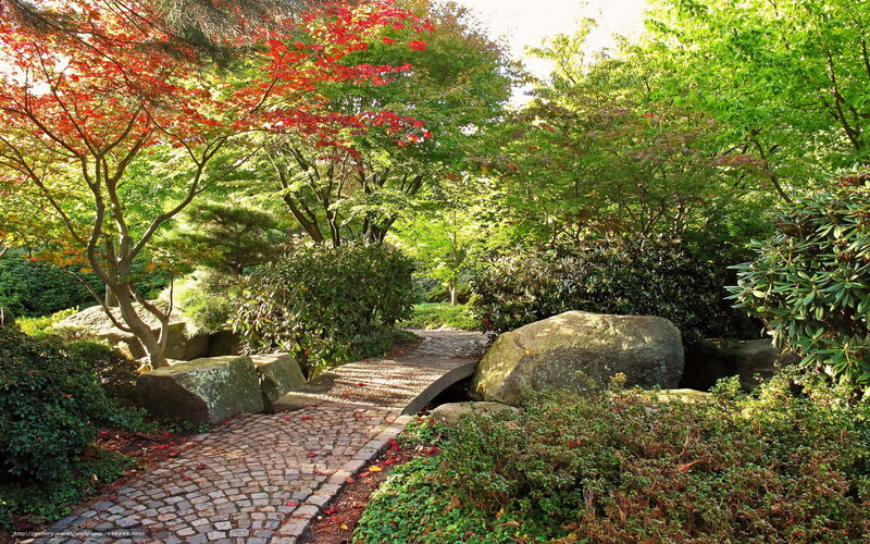 Cobblestone Path in Garden