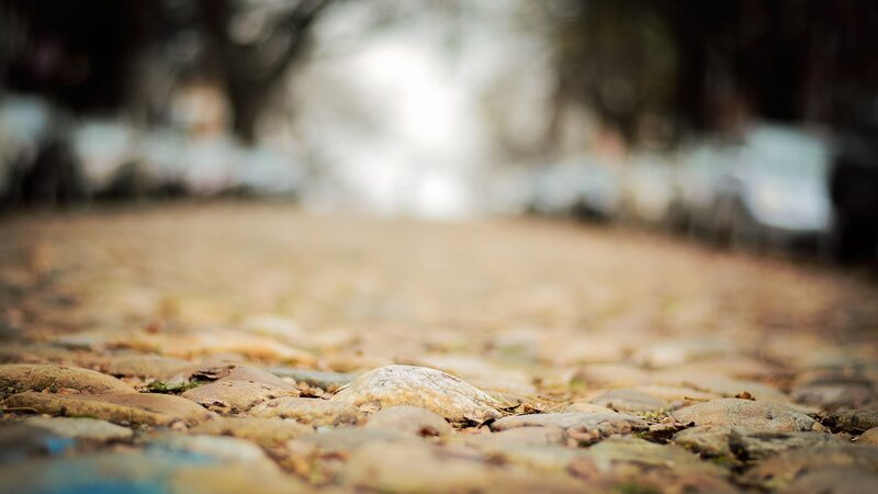 cobblestone path in park