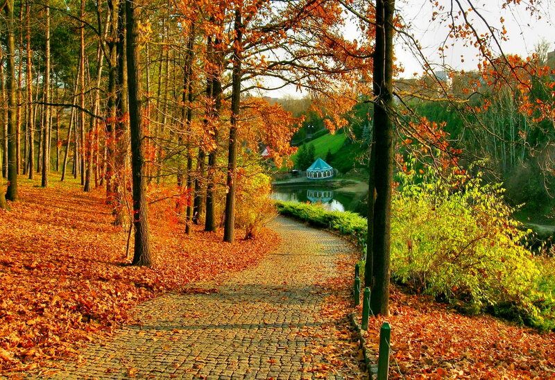 Cobblestone Path in Park — Orange