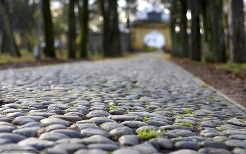 Cobblestone path in park