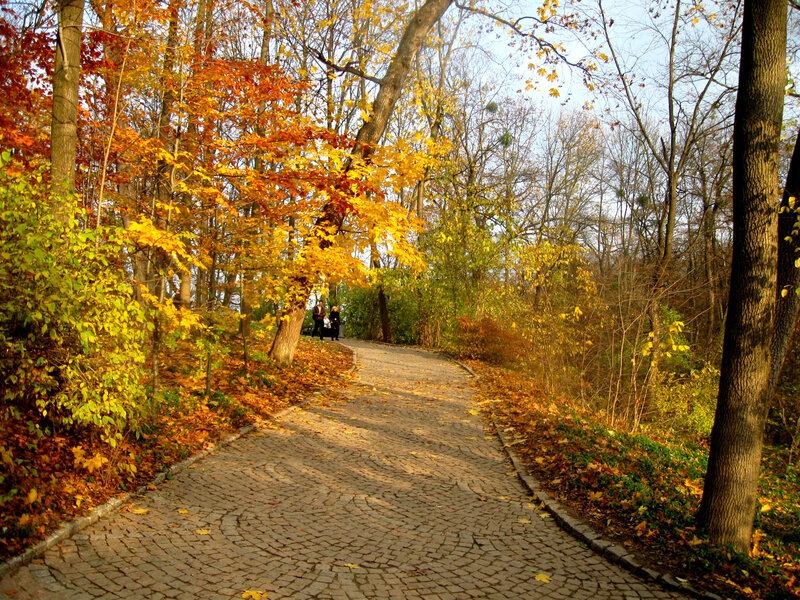 Cobblestone Path in Park — Yellow