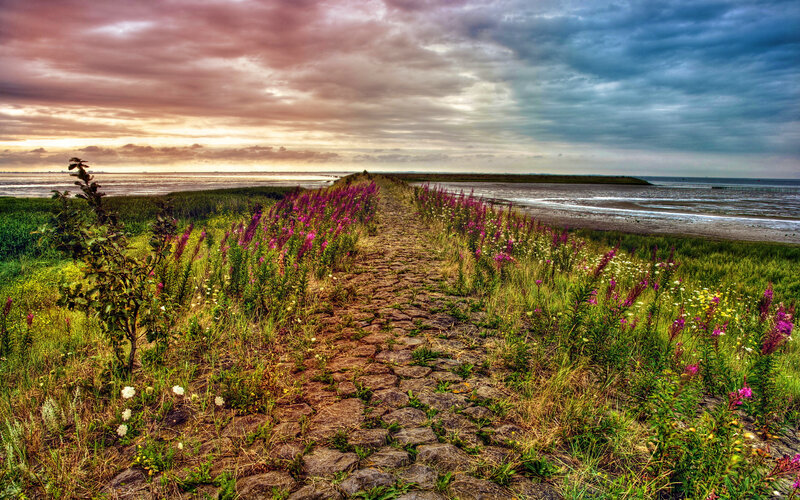 Cobblestone Path to Beach