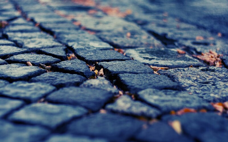 cobblestone path with autumn leaves