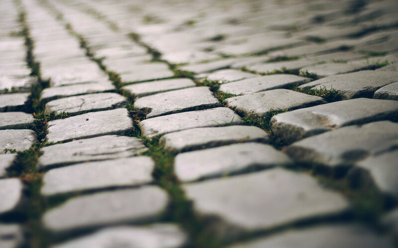 cobblestone path with grass