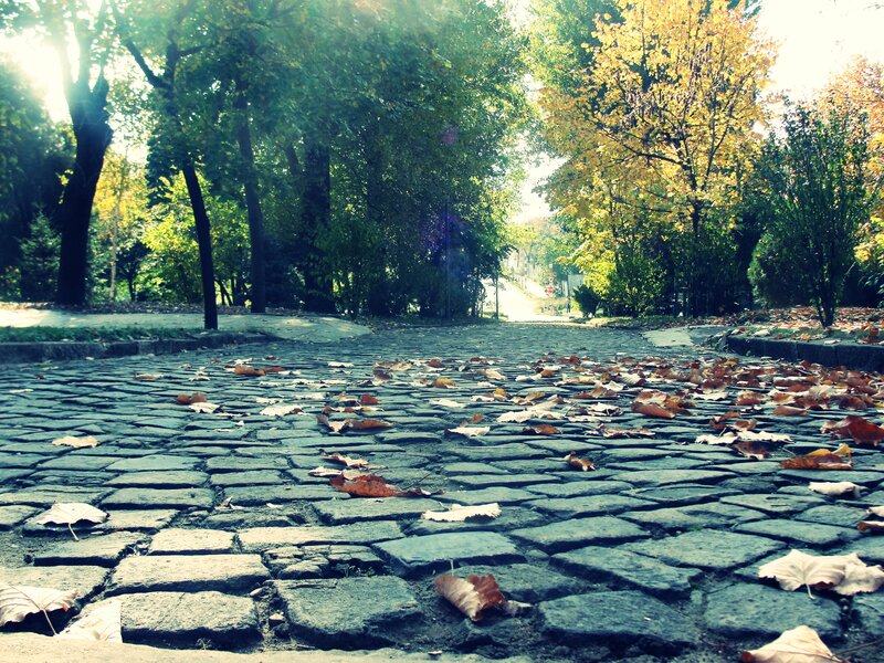 Cobblestone Path with Leaves