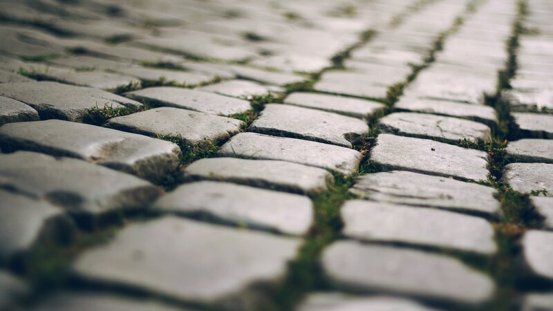 cobblestone path with moss