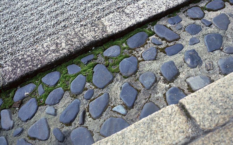 Cobblestone Path with Moss — Gray, Calm