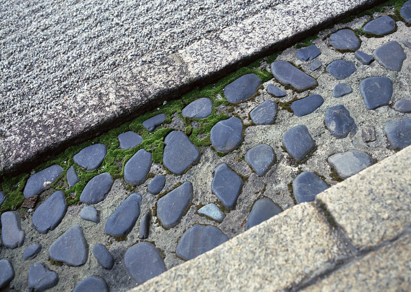 Cobblestone Path with Moss — Gray