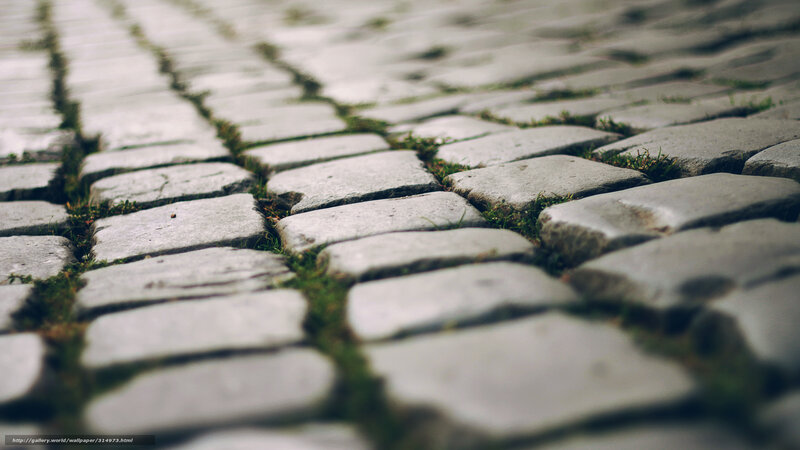 cobblestone path with moss