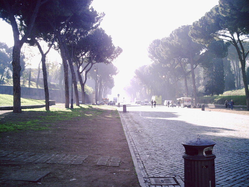 Cobblestone Path with Trees