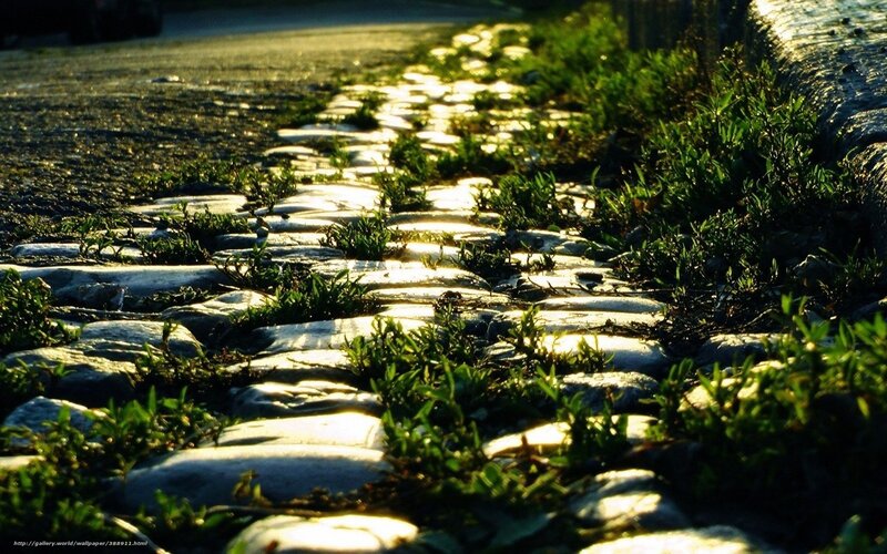 Cobblestone Path with Weeds