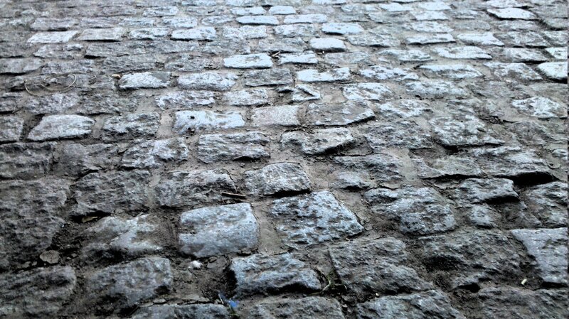 Cobblestone Pavement — Gray, Neutral, Photograph, Stones