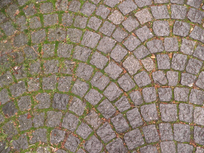 cobblestone pavement with moss