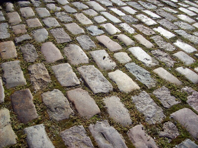 cobblestone pavement with moss