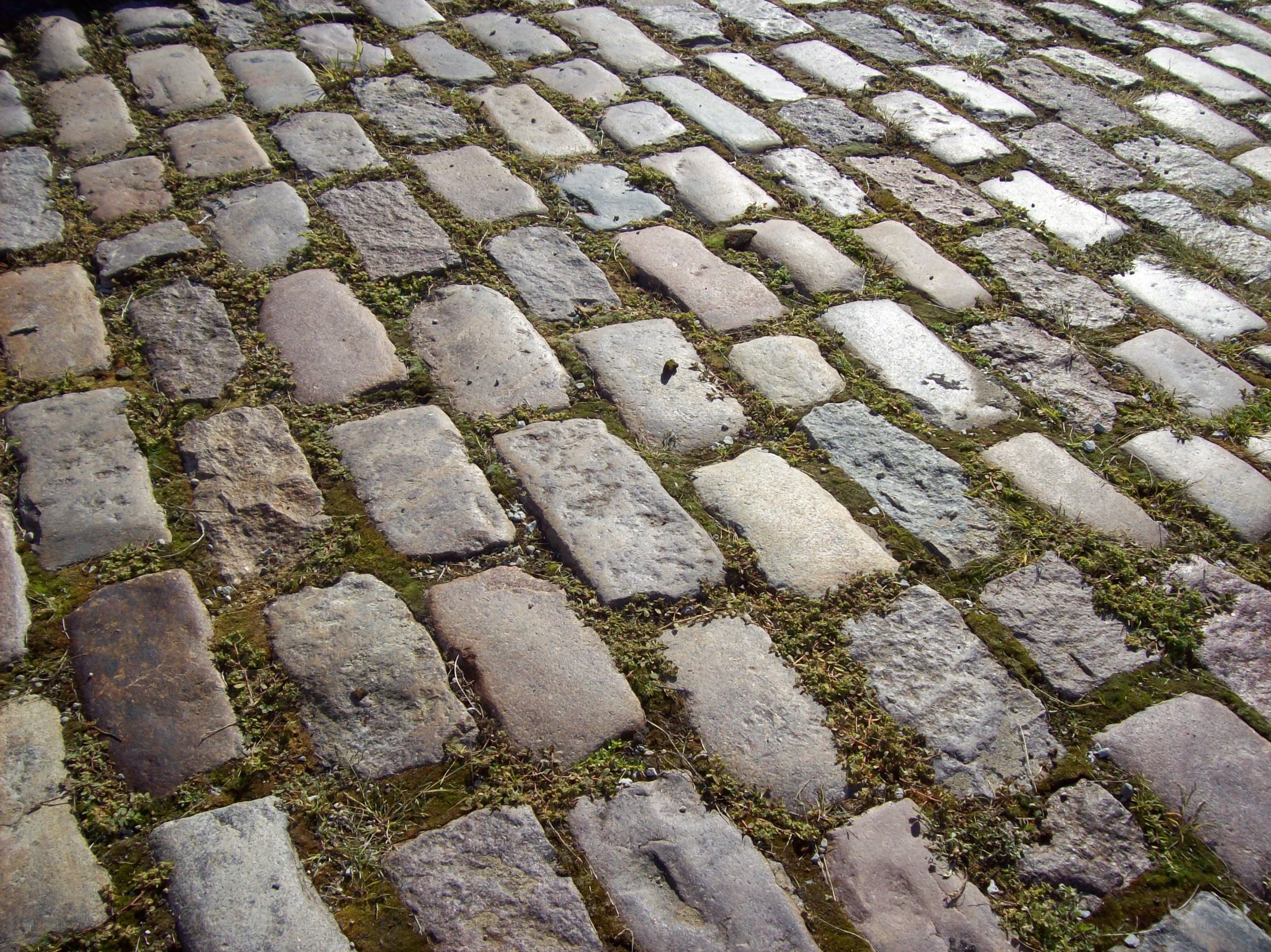 cobblestone pavement with moss