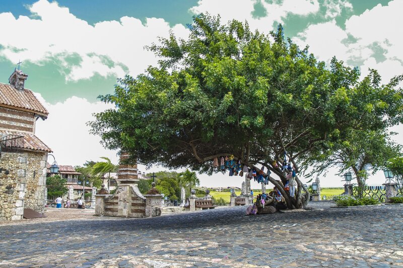 Cobblestone plaza with wishing tree