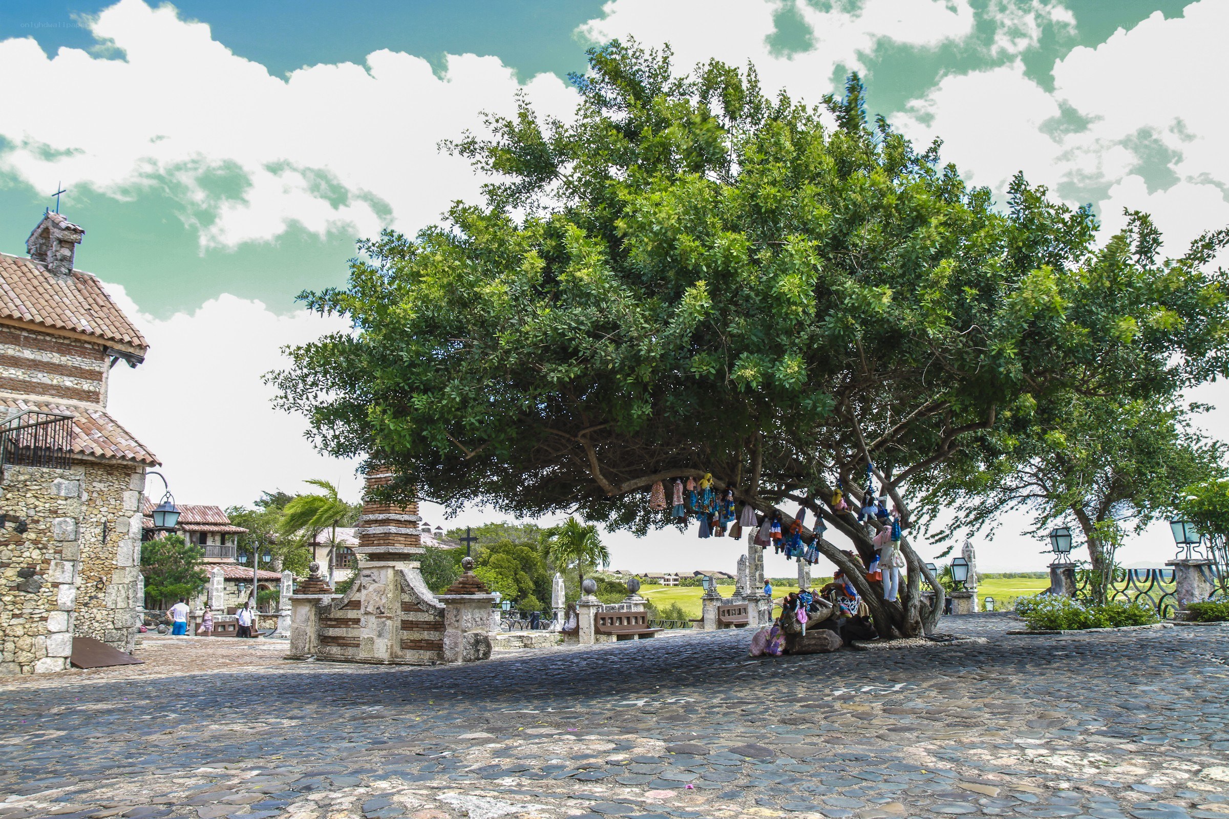 Cobblestone plaza with wishing tree