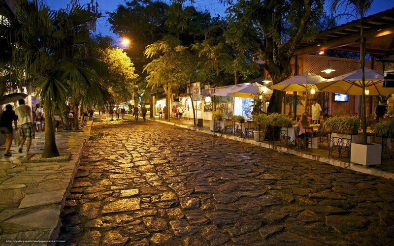 Cobblestone Street at Night — Brown, Calm, Photograph, Palm Trees