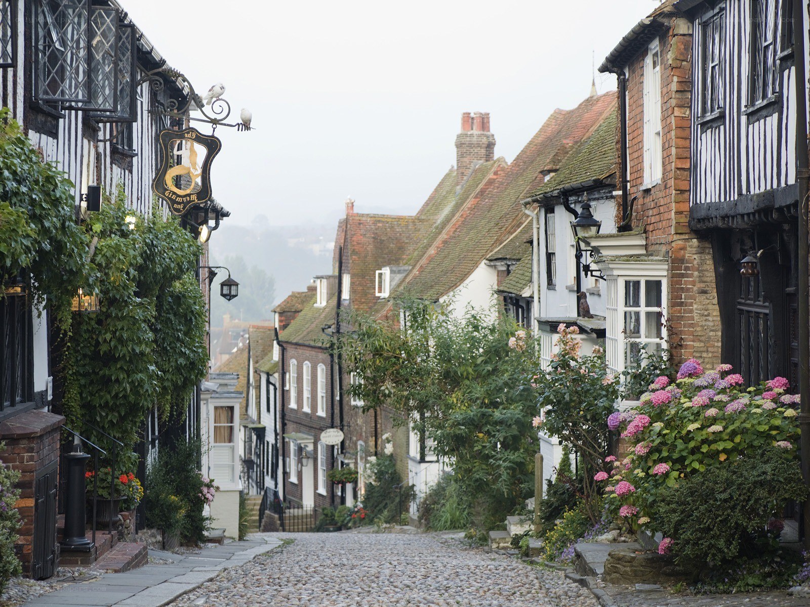 Cobblestone street in historic town